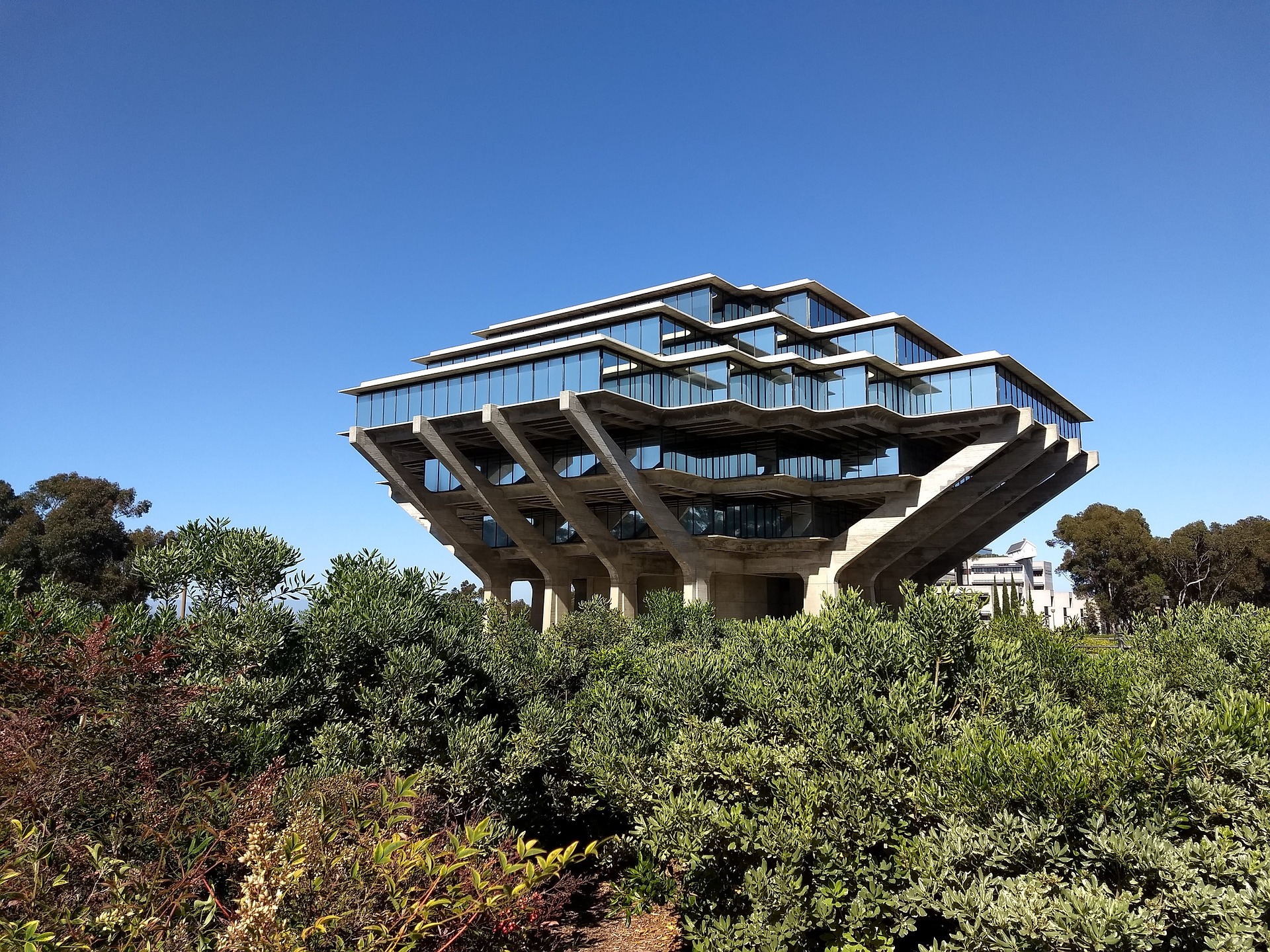 College library at UC San Diego