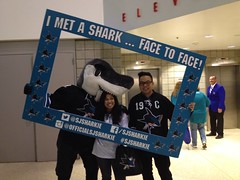 Photo journal image 53