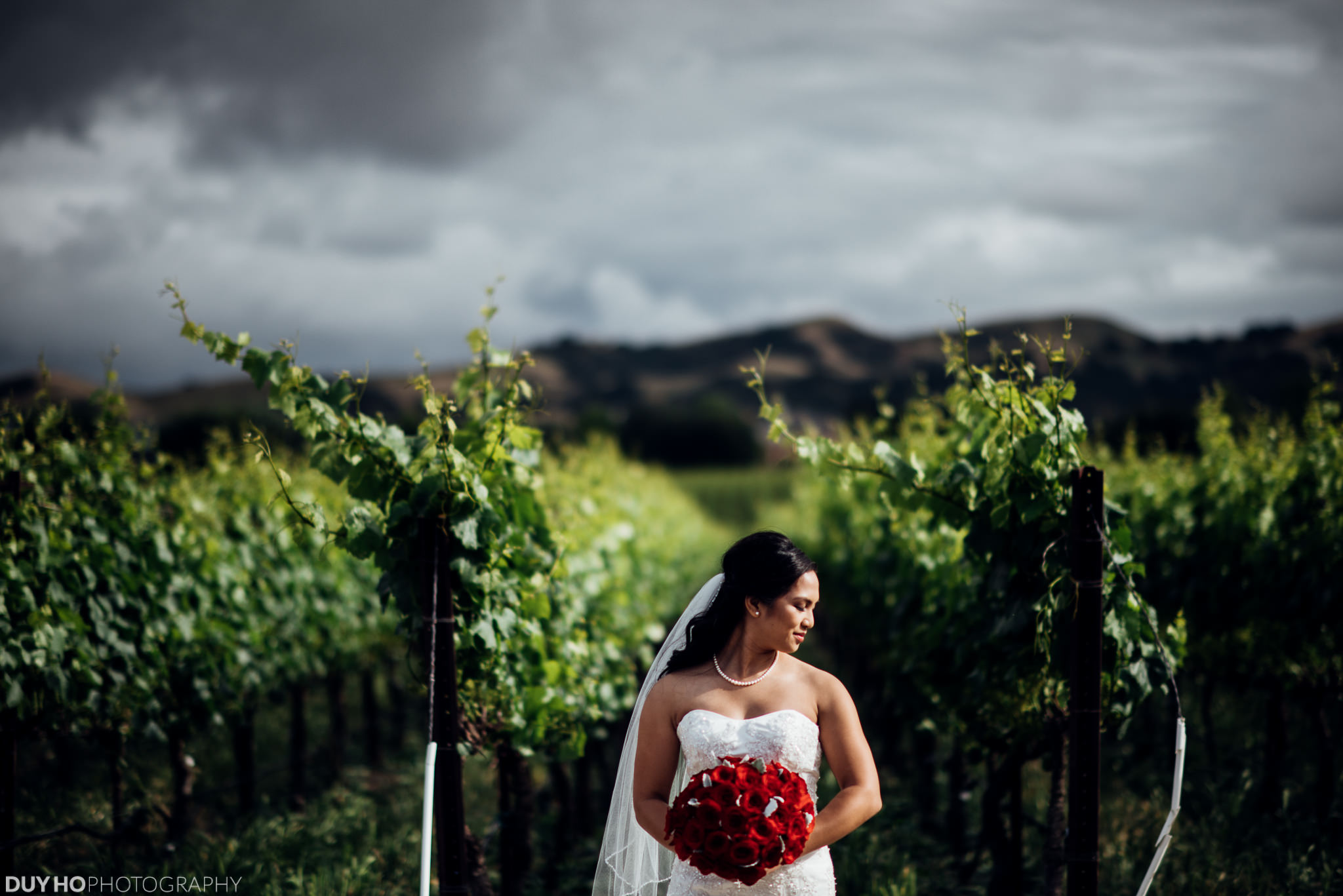 Bride at the vineyard